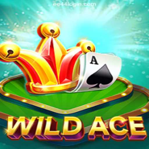 Exploring WildAce: A Digital Adventure with EE44.Com